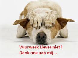 bange hond vuurwerk