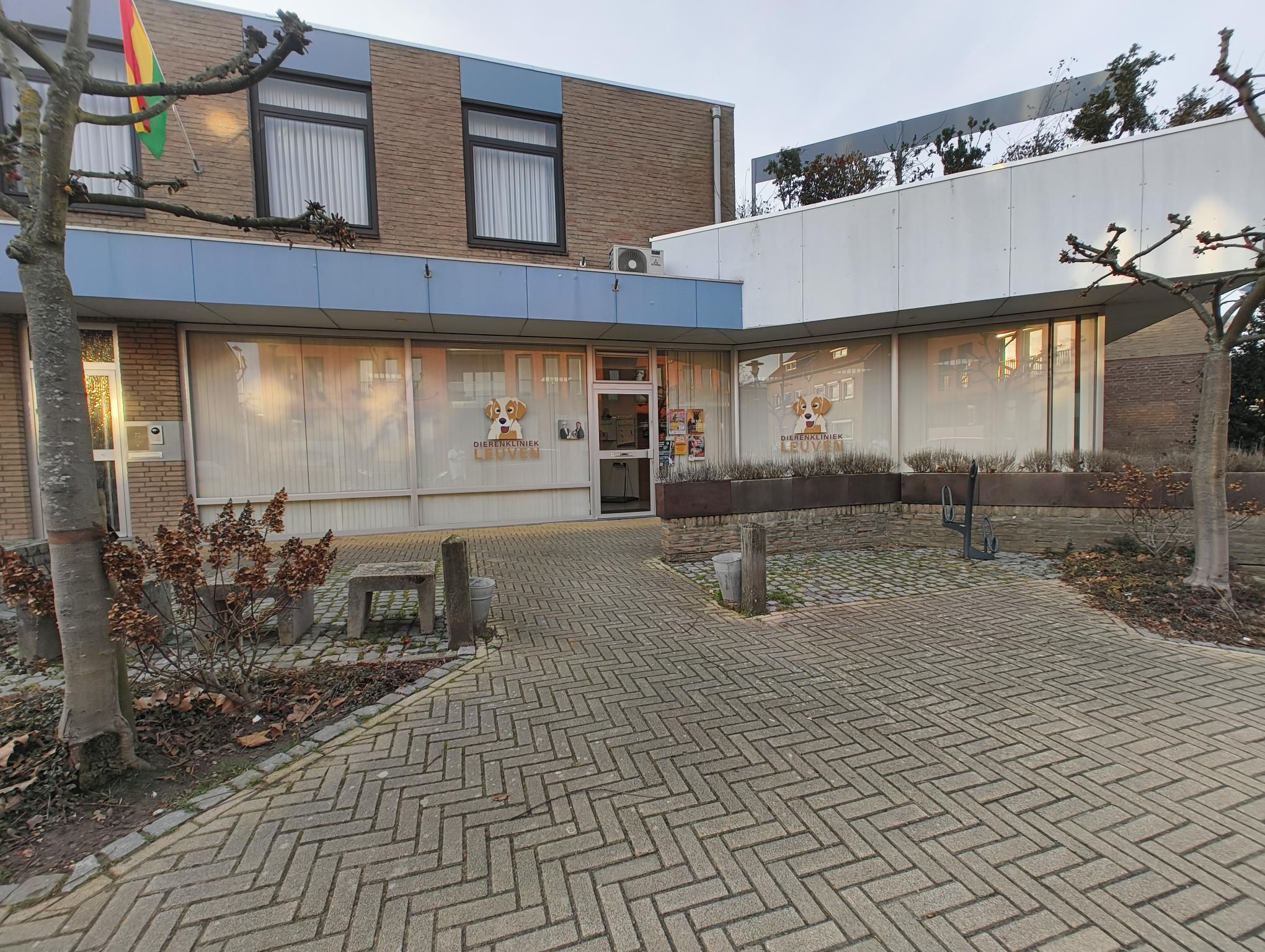 IMG_20260209_164821616