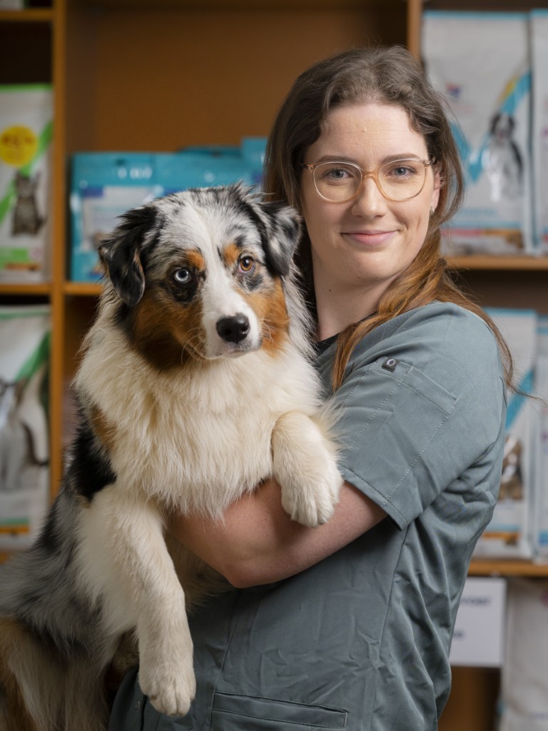 dierenarts houdt de hond vol liefde vast