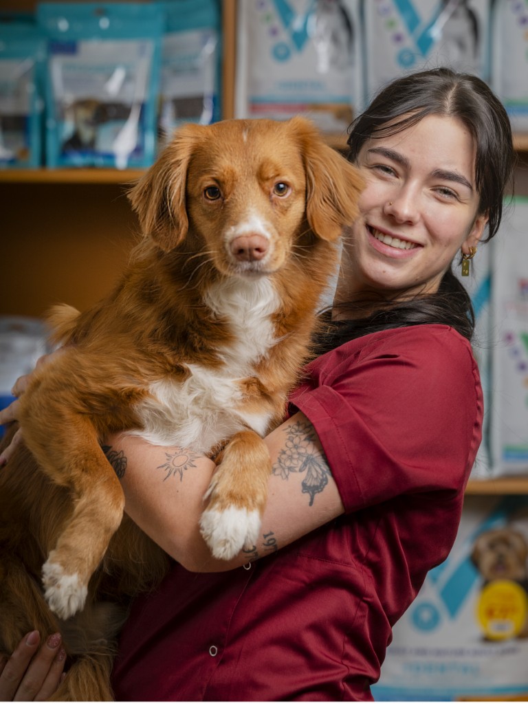 para houdt de hond vast, dierenvriendelijke praktijk in Heerlen